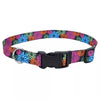 Coastal Pet Products Styles Adjustable Dog Collar (1 X 18-26, Special Paws)