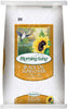 Morning Song Black Oil Sunflower Wild Bird Food (50 Lb)