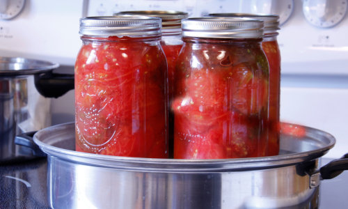 Cans set in a saucepan on a stove top.