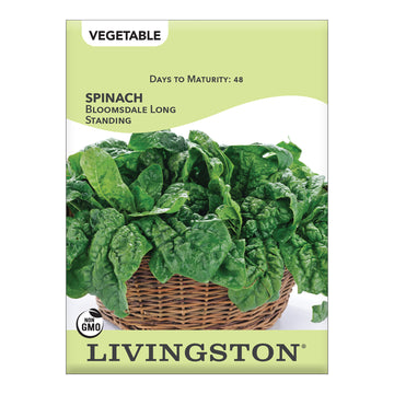 Livingston Spinach Bloomsdale Long Standing