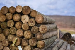 Kencove CCA 4-5 x 8' Tapered Wood Post