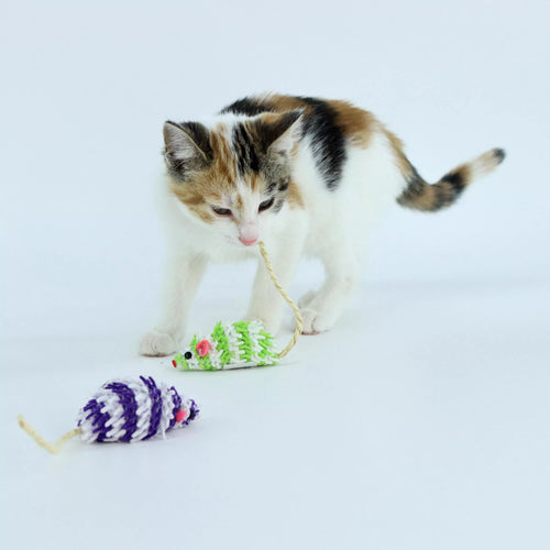 Coastal Pet Turbo Mop Mice Bulk Cat Toy Bin