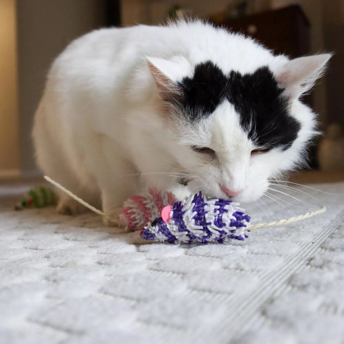 Coastal Pet Turbo Mop Mice Bulk Cat Toy Bin