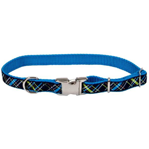Coastal Pet Products Ribbon Adjustable Dog Collar with Metal Buckle