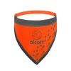 Alcott Visibility Dog Bandanas