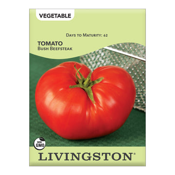 Livingston Tomato Beefsteak Bush