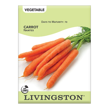 Livingston Carrot Nantes