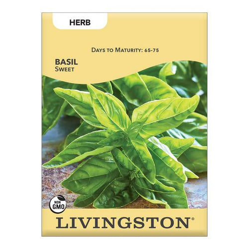 Livingston Basil Sweet Seed