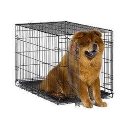 Dog Training Crate, Black, 36L x 23W x 25H