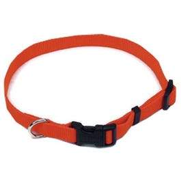 Dog Collar, Adjustable, Orange, 1-In.