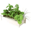 Hydroponic Salad Box Kit