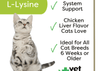 Vet Worthy Vet Worthy L-Lysine Soft Chew for Cats (60 Count)