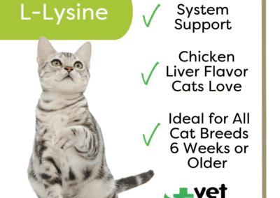Vet Worthy Vet Worthy L-Lysine Soft Chew for Cats (60 Count)