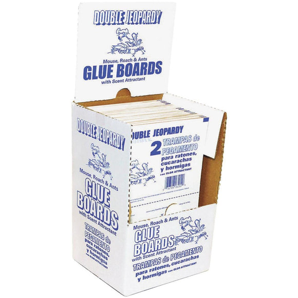 JT Eaton Double Jeopardy Glue Mouse Trap (1-Pack)