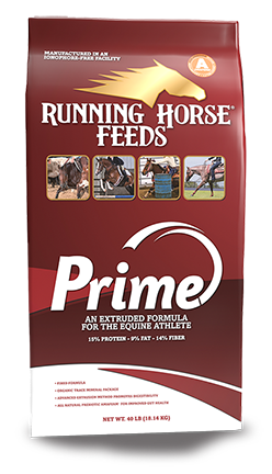 Running Horse Prime Athlete Horse Feed 40 lb