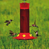 Perky-Pet® Hummer’s Favorite Plastic Hummingbird Feeder - 30 oz Nectar Capacity