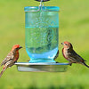 Perky-Pet® Mason Jar Wild Bird Waterer - 32 oz Water Capacity