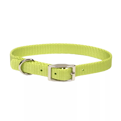 Coastal Pet Products Coastal Single-Ply Dog Collar Lime 3/4 x 18