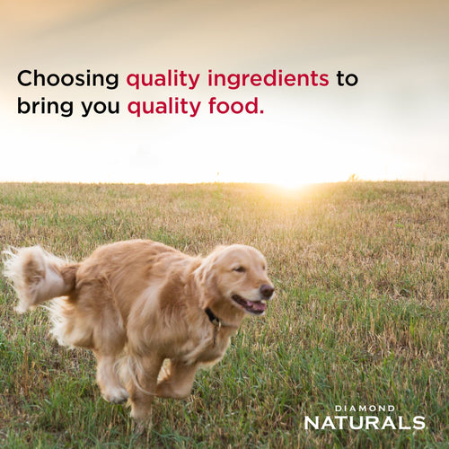 Diamond Naturals Adult Dog Lamb Meal & Rice Formula Dry Dog Food