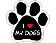Imagine This I Love My Dogs Car Magnet