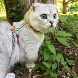 Coastal Pet Figure "H" Fashion Adjustable Cat Harness and Leash Combo