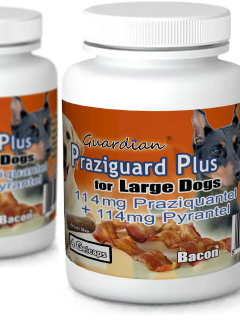 Guardian Praziguard Plus® 114mg Praziquantel & 114mg Pyrantel for Large Dogs