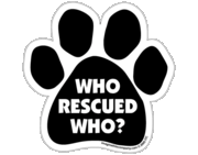 Imagine This Who Rescued Who Paw Shaped Car Magnet